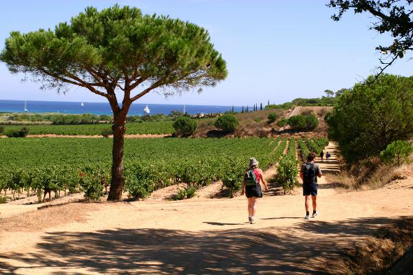 Découverte des Terroirs